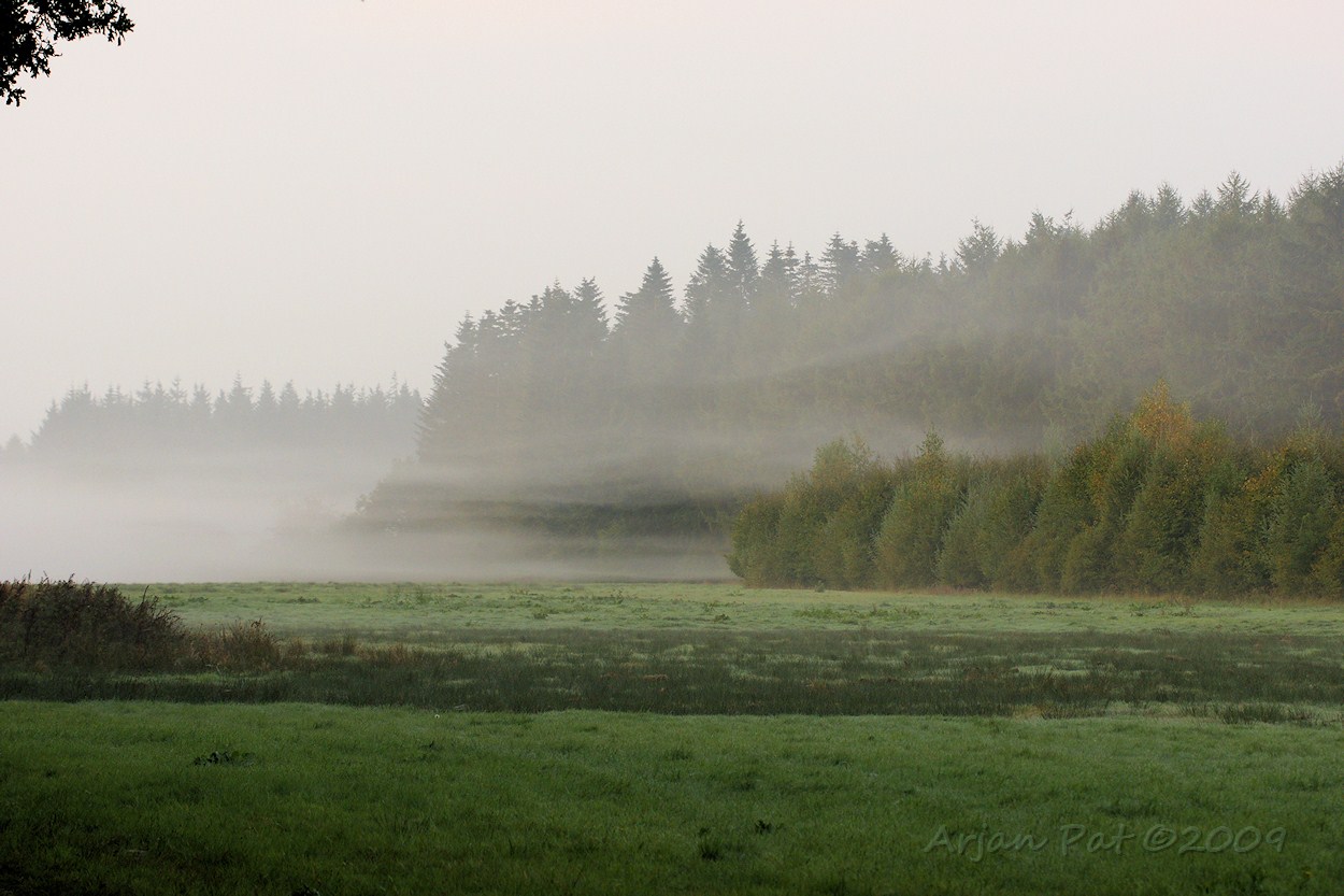 Ochtendmistje (september 2009)