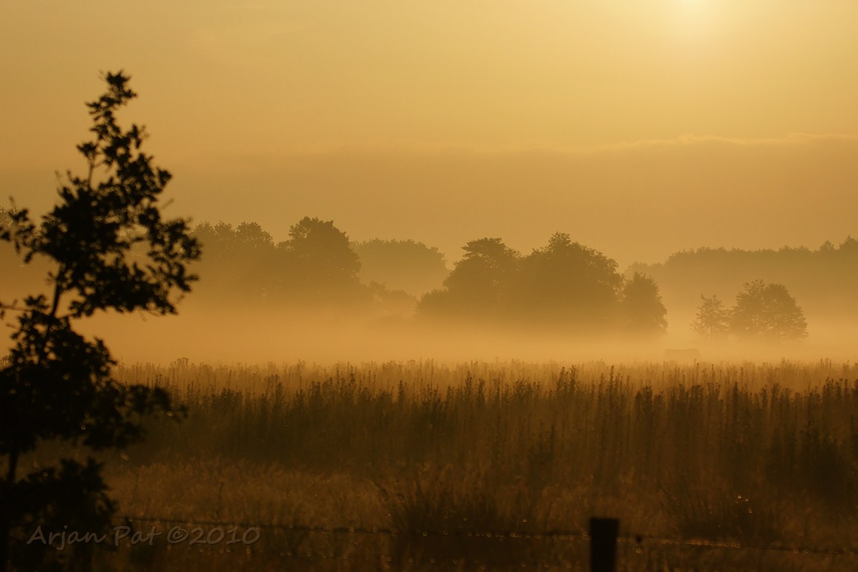 Zonsopkomst met mist; oranje landschap (WK) (juli 2010)