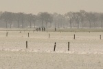 De Jagers