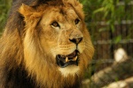 Dierentuin Emmen