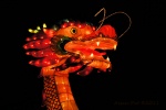 Assen: Chinatown by night